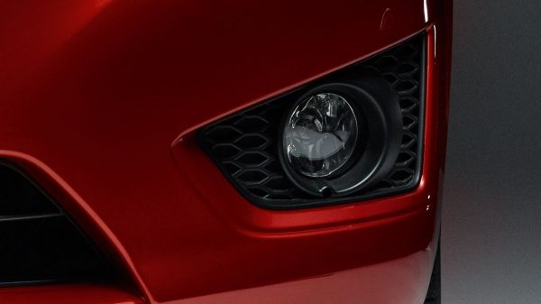 Front Head On Shot of Halogen Fog Light
