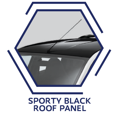 Sporty Black Roof Panel